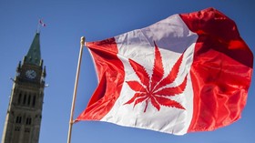 Resmikan Ganja, Warga Kanada Antre Beli Ganja Sejak Dini Hari