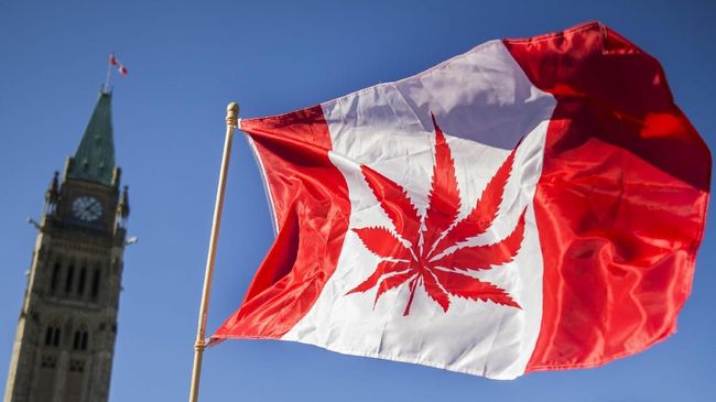 Resmikan Ganja, Warga Kanada Antre Beli Ganja Sejak Dini Hari