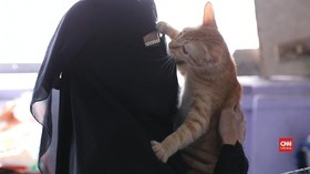 Candu Elfi Selamatkan Kucing Terlantar