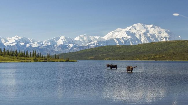 Mendengar nama Alaska langsung terbayang salju dan dingin. Namun jenis wisata di Alaska lebih dari itu.