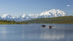 Suguhan Alam Alaska Selain Wisata Salju