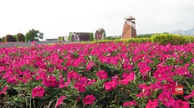 VIDEO: Keindahan Taman Bunga Chung She Flower Taiwan