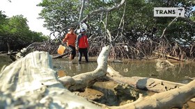 VIDEO: Tiram dan Kepiting dari Tanjung Barru