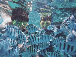 Cara ke Karimun Jawa dan Biaya Tiket Masuk Ala Backpacker