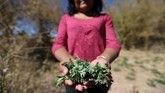 FOTO: Masalah Air dan Penambangan Litium di Chile Ketersediaan air asin di Gurun Atacama, Chile, disebut terdampak kompetisi tambang litium, yang diperoleh dari air asin, antara korporasi Albemarle dan SQM.