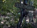 Kebangkitan Kucing Tebar Horor dalam 'Pet Sematary'