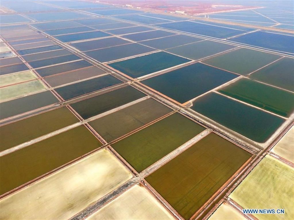 Penampakan Tambak Garam Raksasa di China Penampakan Tambak Garam Raksasa di China