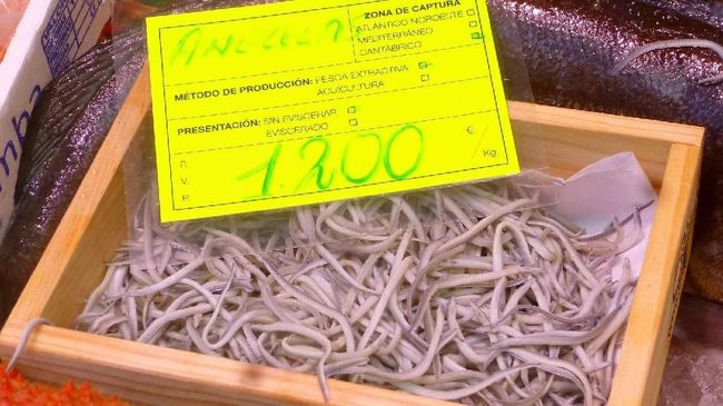 Angulas merupakan makanan bayi belut termahal di Spanyol yang tetap laku terjual meski memiliki rasa yang tak sedap.