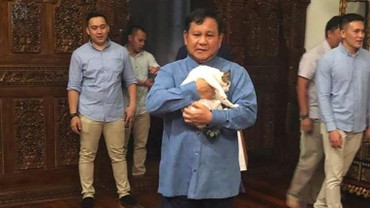 img-title Temani Prabowo, Bobby Kertanegara Resmi Jadi Kucing Istana Negara