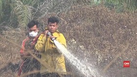 VIDEO: Dua Hektare Lahan Gambut di Aceh Barat Dilalap Api