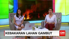 Kebakaran Lahan Gambut