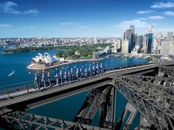 Serangan Hiu di Sydney buat Seorang Wanita Luka Parah