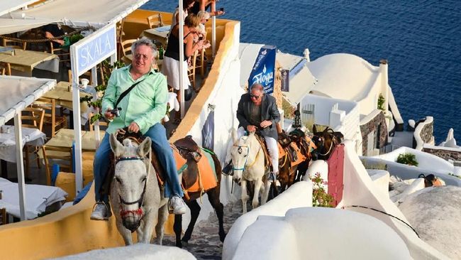 Bukan cuma manusia, setiap harinya kawanan keledai di Santorini, Yunani, juga terpaksa menanggung beban hidup dan sakit punggung.