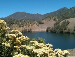 Sederet Ranu Kebanggaan Jatim, Tiga di Kaki Gunung Semeru