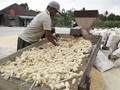 Kementan Siapkan 900 Ribu Mesin Pengering Jelang Panen Beras