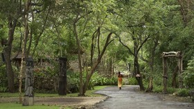 Mengenal Cara Kerja Teknologi AI Awasi Hutan TN Bali Barat
