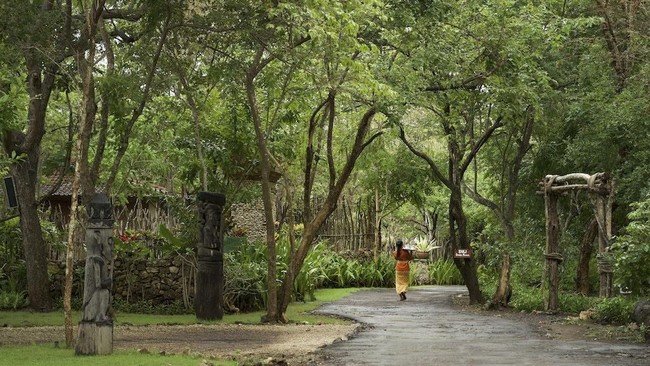 Taman Nasional Bali Barat akan dijadikan pilot project pengawasan hutan dengan teknologi kecerdasan buatan atau AI.