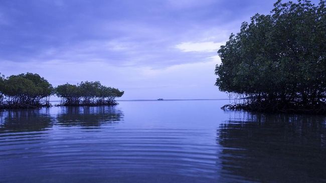 Cuaca tropis, budaya dan biaya hidup yang terjangkau dianggap menjadi keunggulan Pulau Bali.