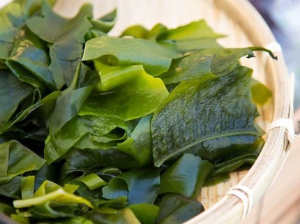 Coba 4 Resep Olahan Rumput Laut Sederhana, dari Nugget hingga Lumpia Goreng