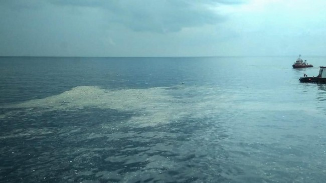 Menurut Kepala Basarnas Syaugi pesawat Lion Air JT-610 jatuh di wilayah Tanjung Karawang dengan kedalaman 30 hingga 35 meter dari permukaann laut.
