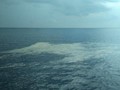 Lokasi Jatuh Lion Air JT-610 Perairan 35 Meter di Karawang