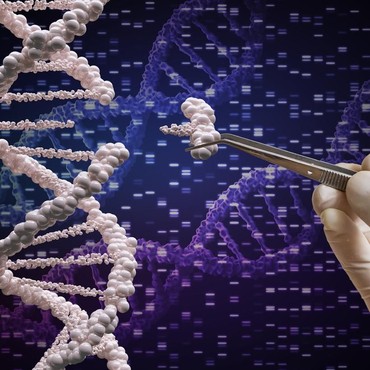 Segini Biaya Tes DNA Denny Sumargo dan Verny Hasan