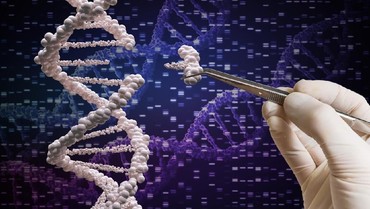 Segini Biaya Tes DNA Denny Sumargo dan Verny Hasan