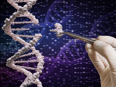 Segini Biaya Tes DNA Denny Sumargo dan Verny Hasan