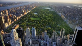 RS Darurat Corona Dibangun di Central Park New York