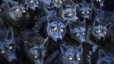 FOTO: Wujud <i>Halloween</i> di Seluruh Dunia Halloween menjelma sebagai sebuah parade yang selalu dirayakan di seluruh dunia pada penghujung bulan Oktober.