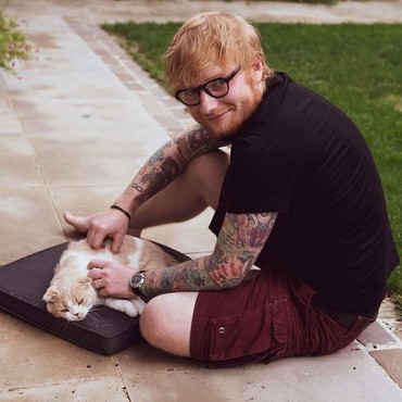 Intip Harga Tiket Konser Ed Sheeran 2019 di Jakarta