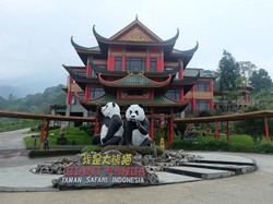 Pas buat Berakhir Pekan! 6 Aktivitas Seru di Istana Panda Taman Safari