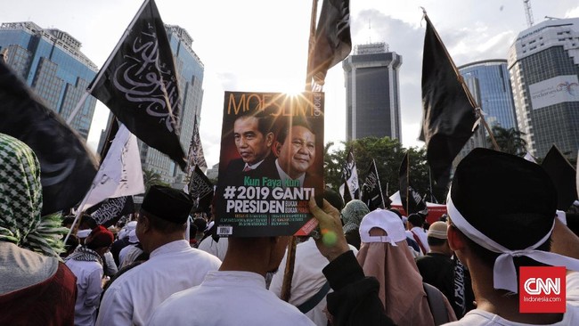 LSI Denny JA menyebut pemilih Islam yang mendukung Prabowo berasal dari ormas seperti HTI dan FPI. Namun, LSI menyatakan jumlah mereka tidak signifikan.