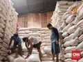 Kemendag: Sesuai Aturan, Bulog Tak Boleh Ekspor Beras Medium