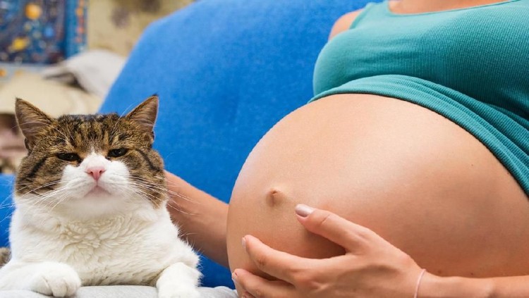 Gimana ya kalau ibu hamil dekat-dekat dengan hewan peliharaan seperti kucing atau anjing? Amankah?