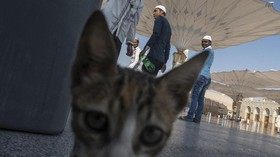 FOTO: Ziarah ke Makam Nabi Muhammad