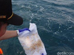 Menteri KP Trenggono: Ekspor Benih Lobster Masih Disetop