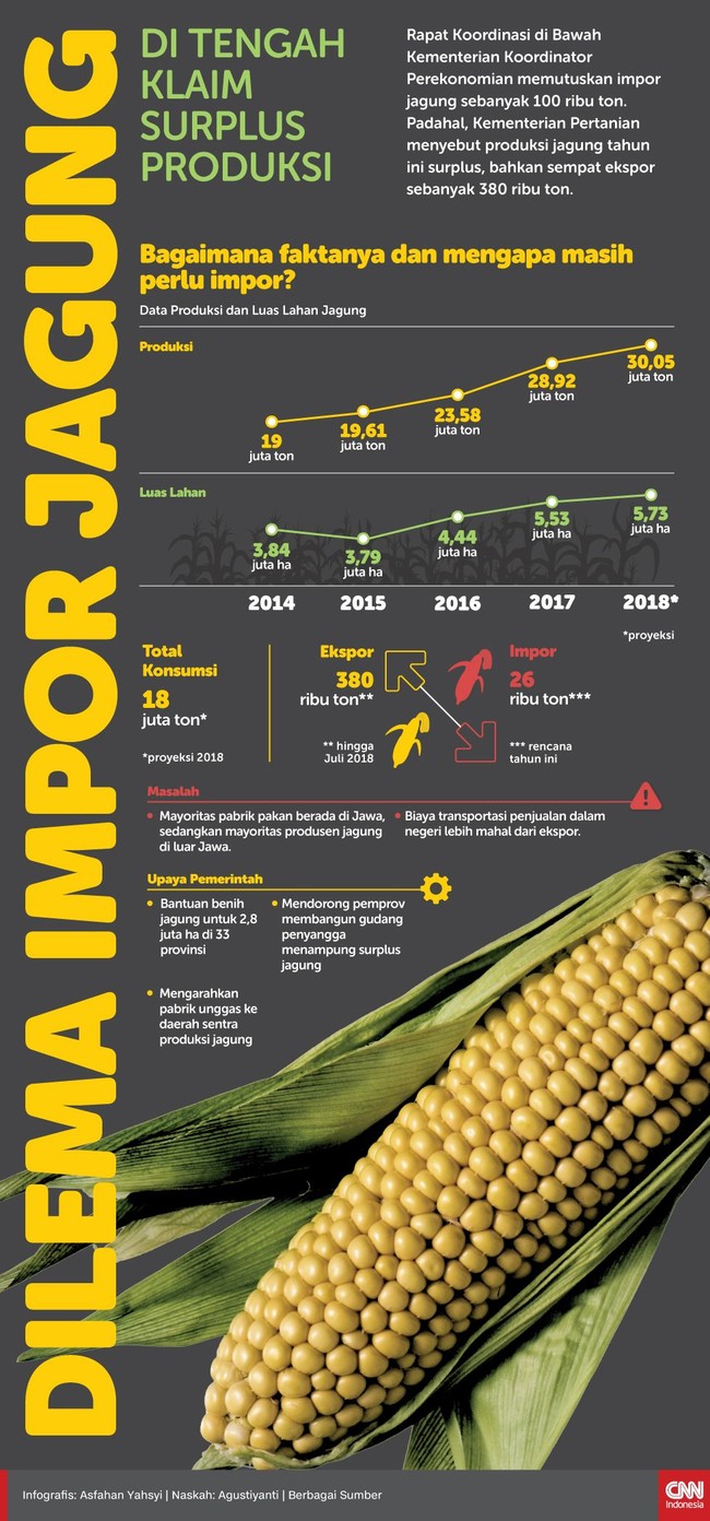 Pemerintah memutuskan impor jagung sebanyak 100 ribu ton. Padahal, Kementerian Pertanian menyebut produksi jagung tahun ini surplus.