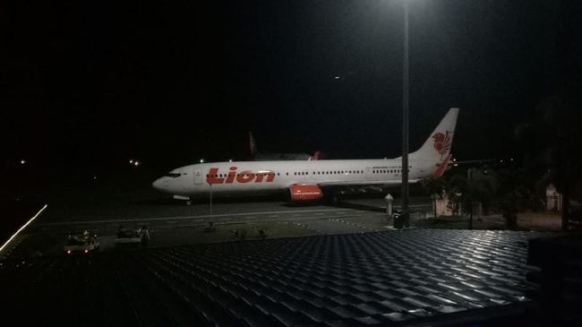 Menurut Corporate Communications Strategic of Lion Air, Danang Mandala Prihantoro, dari hasil pengamatan menurut video binatang dimaksud menyerupai laba-laba.