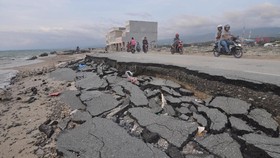 Ilmuwan Jepang Ungkap Pola Gempa dan Tsunami Palu 2018