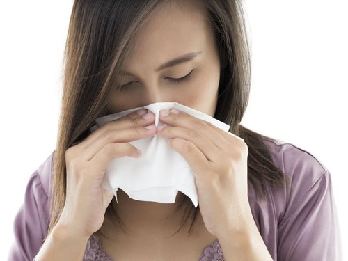 Reaksi bersin-bersin atau hidung gatal sering dikaitkan dengan bulu kucing.