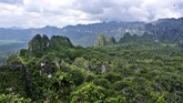 FOTO: Lukisan Batu Tertua di Dunia Ditemukan di Kalimantan Tim peneliti mengungkap penemuan lukisan hewan abstrak yang menggunakan batu sebagai medium tertua di dunia. Lukisan gua tersebut terletak di Kalimantan Timur.