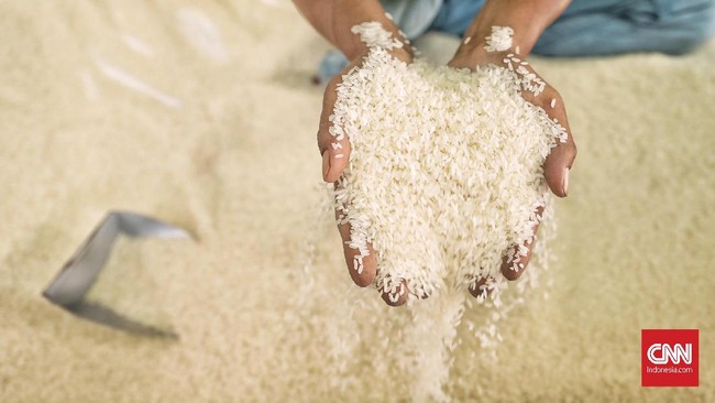 Badan Pusat Statistik (BPS) mencatat Indonesia telah mengimpor beras sebanyak 326,45 ribu ton sepanjang Januari hingga November 2022.