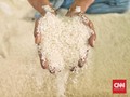 Peneliti Minta Pemerintah Seriusi Ancaman Krisis Pangan