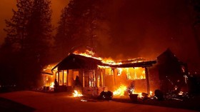 Perubahan Iklim Bikin Karhutla di California Sulit Diatasi