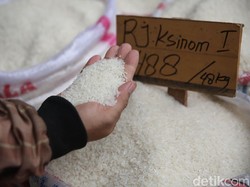 Harga Beras Kian Mahal, Kapan Turun?