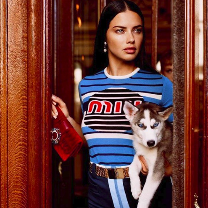 <p>Setelah menjalani 18 pertunjukan, super model asal Brazil <a href="https://wolipop.detik.com/foto-fashion/d-4294493/tangis-adriana-lima-di-fashion-show-terakhirnya-untuk-victorias-secret" target="_blank">Adriana Lima </a> akhirnya 'gantung sayap' alias pensiun dari panggung Victoria's Secret. (Foto: Instagram/adrianalima)</p>