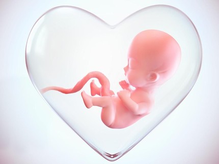 Adakah Perbedaan Cara Mengubur Ari-ari Bayi Laki-laki dan Perempuan Menurut Islam?