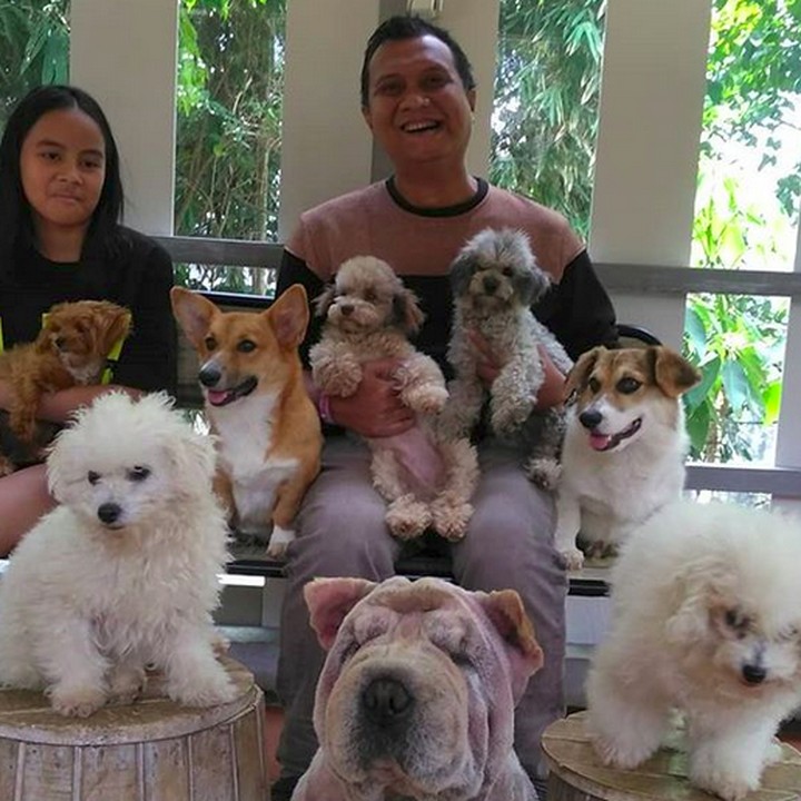 <p>Anjingnya banyak banget dan lucu-lucu ya Ayah<a href="https://hot.detik.com/music/3699033/yoyo-padi-adalah-kapal-besar-musikimia-sekocinya" target="_blank"> Ari</a>. Guk-guk-guk. (Foto: Instagram @Aripadi27)</p>