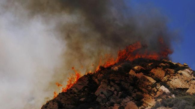 Kebakaran Hutan, Ribuan Warga Australia Dievakuasi